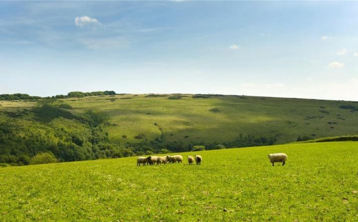 Zeal Farm Bed and Breakfast Dulverton Εξωτερικό φωτογραφία