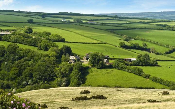 Zeal Farm Bed and Breakfast Dulverton Εξωτερικό φωτογραφία